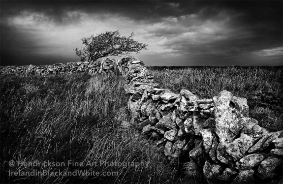 Irish Stone Fence black and white photo