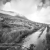 Forgotten Village Road photo by Hendrickson Fine Art